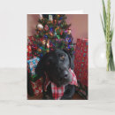 Search for labrador christmas cards Tree
