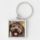 Search for lys key rings Brown