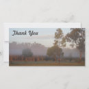 Search for kangaroos cards Outback