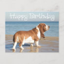 Search for basset hound cards Puppy