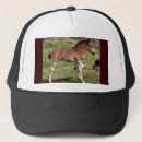 Search for foal hats Horse