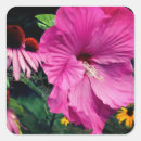 Search for daisy garden stickers Pink