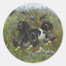 Search for quail hunting stickers Bird dog