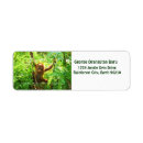 Search for orangutan return address labels Animal