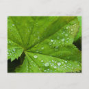 Search for inger postcards Danita delimont