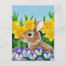 Search for easter rabbit postcards Watercolor
