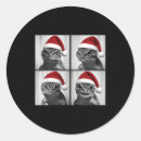 Search for leopard stickers Aesthetic