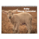Search for lamb calendars Animal