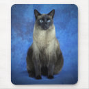 Search for siamese cat mousepads Kitten