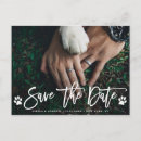 Search for paw print invitations Modern