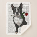 Search for boston terriers blankets Cute pets