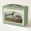 Search for barnacle Bird