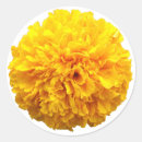 Search for marigolds stickers Flower