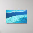 Search for reef canvas prints Great barrier reef
