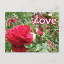 Search for notes postcards Love note