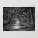 Search for texas photography Landscapes