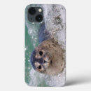 Search for baby seals electronics Ocean