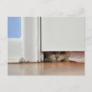 Search for kitty love postcards Blue