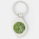 Search for canopy key rings Forest