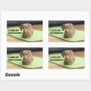 Search for weenie dog stickers Doxie