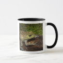 Search for bullfrog mugs Green