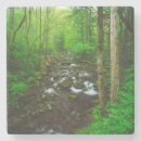 Search for great smoky mountains coasters Forest
