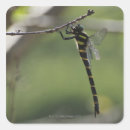 Search for prefecture Animals in the wild