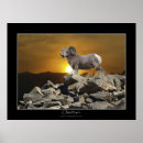 Search for horned mammal art Wildlife