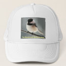 Search for chickadee bird hats Birds