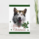 Search for malamute christmas cards Dog