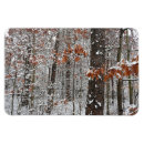 Search for oak tree magnets Nature