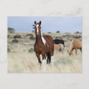 Search for ken postcards Steens mountain
