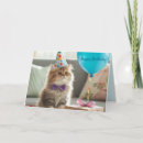 Search for kitty cat birthday cards Blue