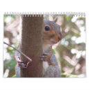 Search for furry photography Rodent