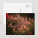 Search for vintage wildflowers postcards Nature