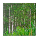 Search for scenery tiles Nature