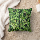 Search for green moss photography Nature