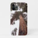 Search for forest tree iphone cases Beautiful