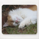 Search for adorable mousepads Computer