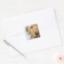 Search for mixed breed dog stickers Pet