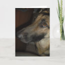 Search for attentiveness cards Attention