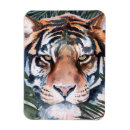 Search for jungle magnets Flowers