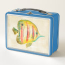 Search for fish lunch boxes Portrait