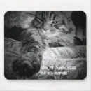 Search for play on words electronics Kitty
