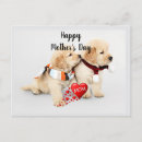 Search for love mother postcards Animals