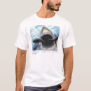 Search for megalodon gifts Prehistoric