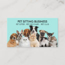 Search for funny cat business cards Veterinarian