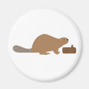 Search for beavers magnets Wildlife