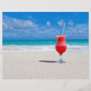 Search for beach sand flyers Tropical