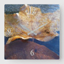 Search for maple leaf clocks Fall
